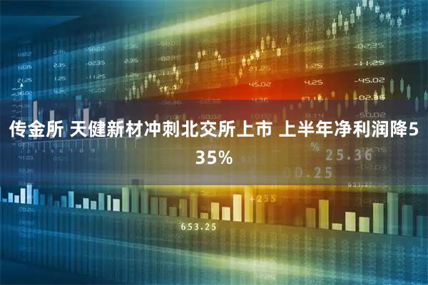传金所 天健新材冲刺北交所上市 上半年净利润降535%