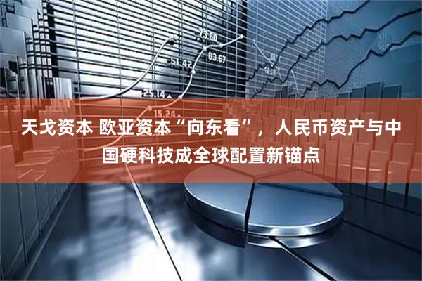 天戈资本 欧亚资本“向东看”，人民币资产与中国硬科技成全球配置新锚点