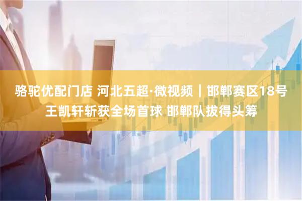 骆驼优配门店 河北五超·微视频｜邯郸赛区18号王凯轩斩获全场首球 邯郸队拔得头筹